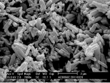 CNB-10L納米棒銷(xiāo)式砂磨機(jī)